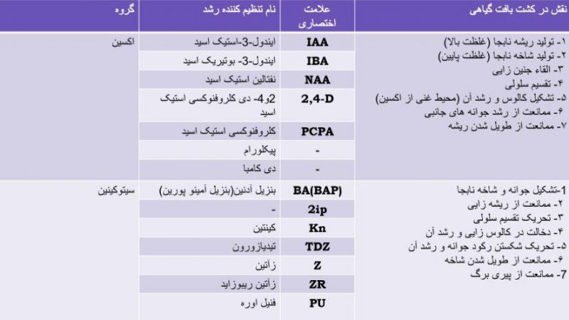 هدیه هداوند